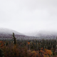 Illustration for article titled Alaska Adventure - Denali Edition